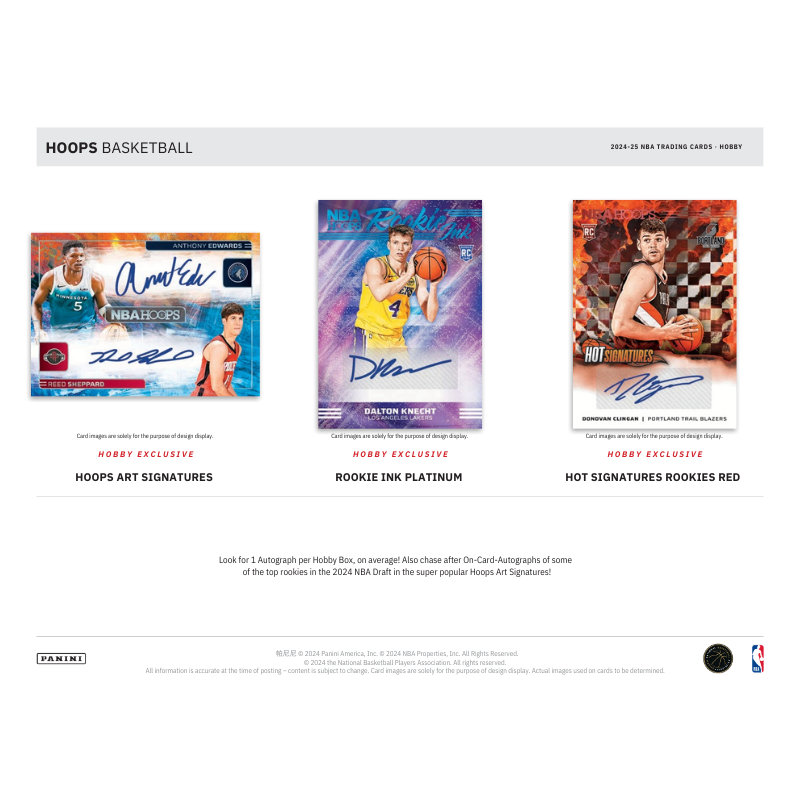 2024/25 Panini Hoops Basketball Hobby 20 Box Case